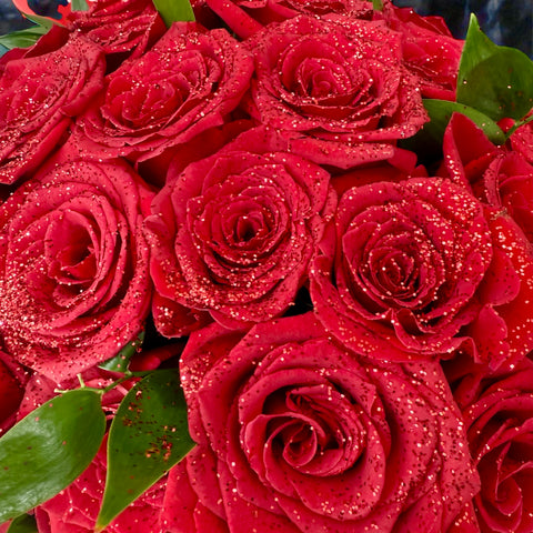 Rose rosse brillanti ( 35 )