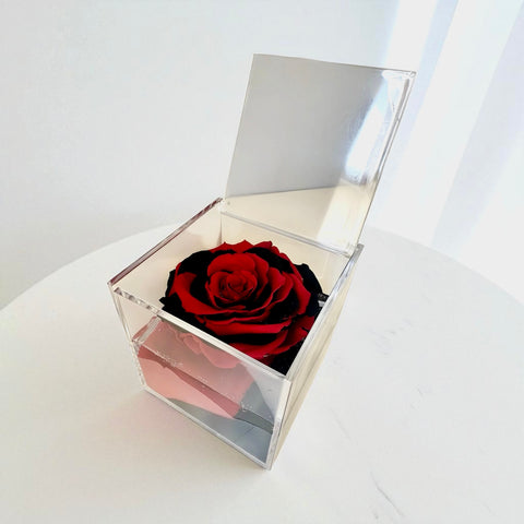 La Rosa rosso nera