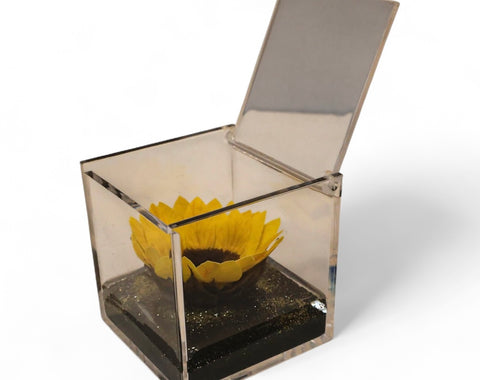 Girasole stabilizzato