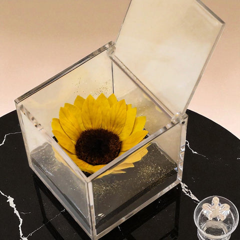 Girasole stabilizzato