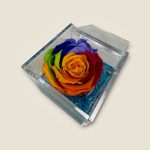 rosa stabilizzata arcobaleno