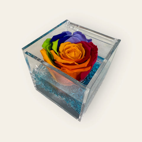 rosa stabilizzata arcobaleno