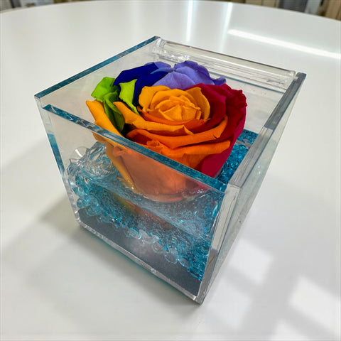 rosa stabilizzata arcobaleno