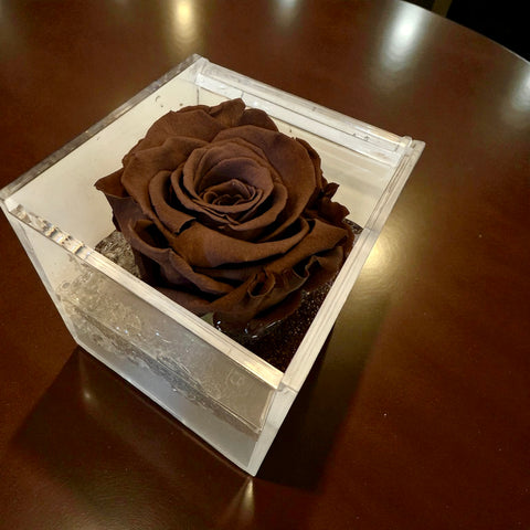 Rosa marroncino autunno