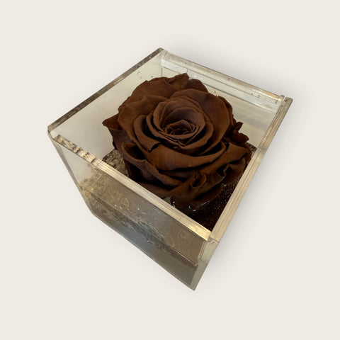 Rosa marroncino autunno