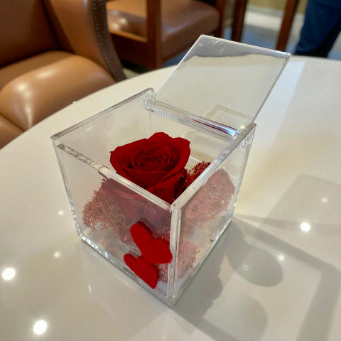 Rosa rossa - autunno