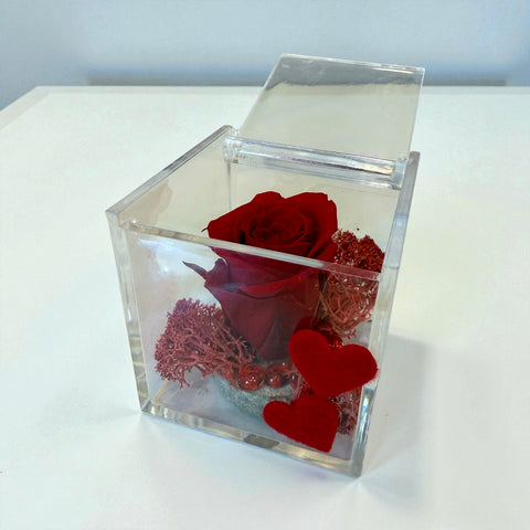 Rosa rossa - autunno