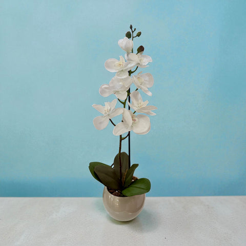 Orchidea artificiale