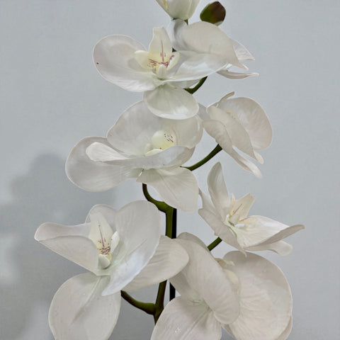Orchidea artificiale