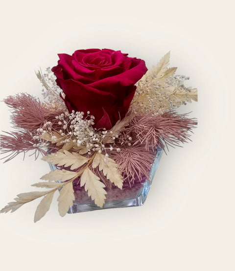 Rosa rossa in vasetto e ornamenti