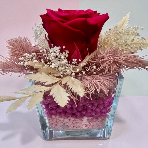 Rosa rossa in vasetto e ornamenti