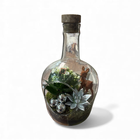 Piantine in bottiglia - collezione Natale