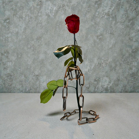 Rosa incatenata