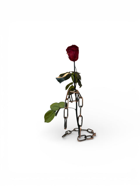 Rosa incatenata
