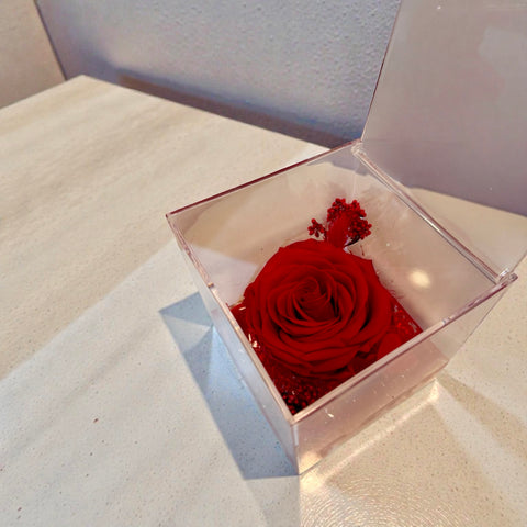 Rosa rossa grande