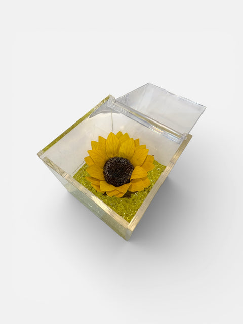 Girasole stabilizzato