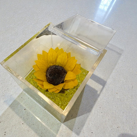 Girasole stabilizzato