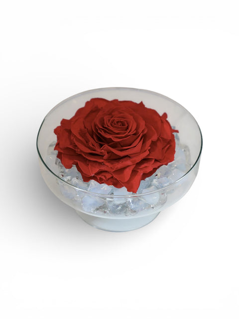 Rosellona stabilizzata - creazione unica