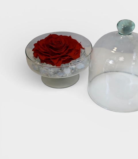 Rosellona stabilizzata - creazione unica