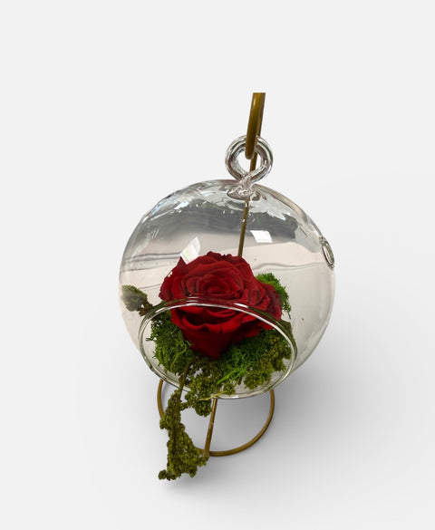 Rosa stabilizzata rossa jafar