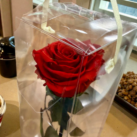 Gift roses | rosa Singola rossa con gambo media
