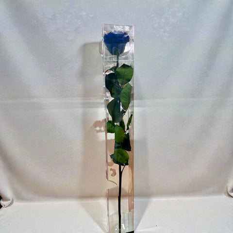Gift roses | rosa Singola blu rossa con gambo