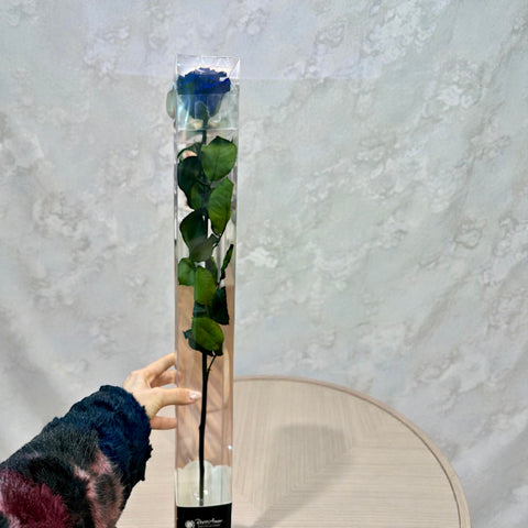 Gift roses | rosa Singola blu rossa con gambo