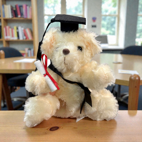 orsacchiotto laureato 2