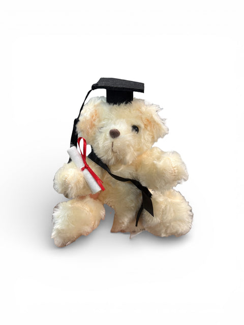 orsacchiotto laureato 2