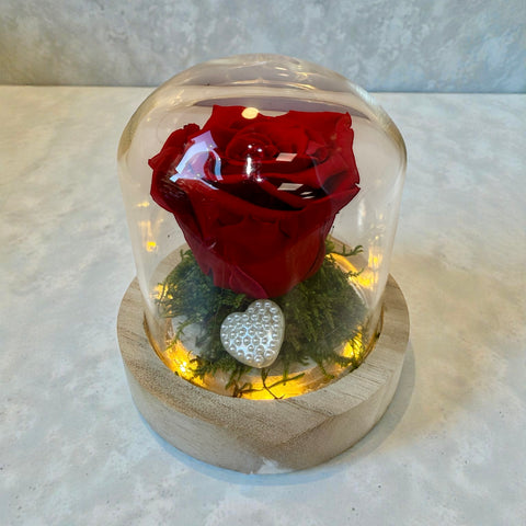 Collezione fiabe | La rosa Incantata rossa eterna | piccola