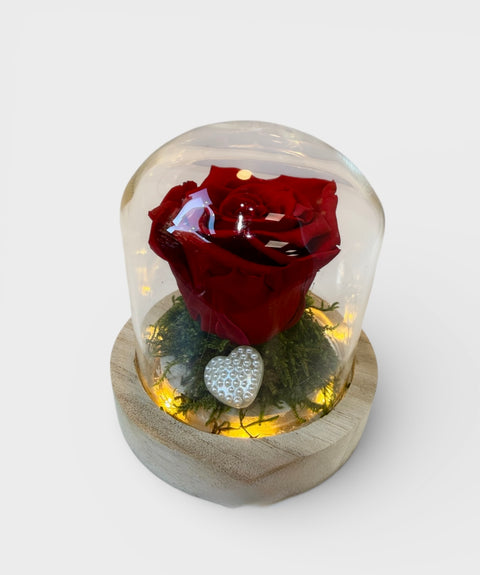 Collezione fiabe | La rosa Incantata rossa eterna | piccola