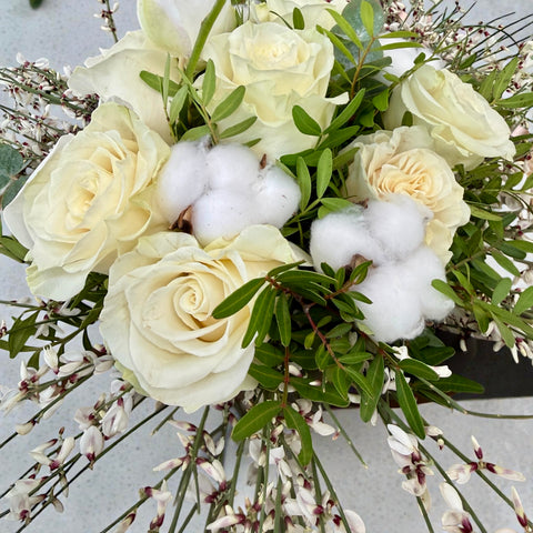 BIANCO E COTONE - grande