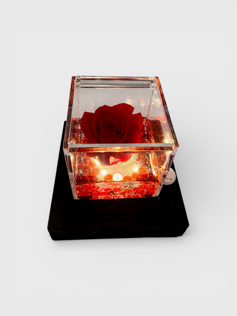 Rosa illuminata san Valentino 2026