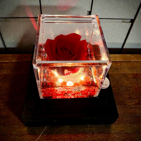 Rosa illuminata san Valentino 2026