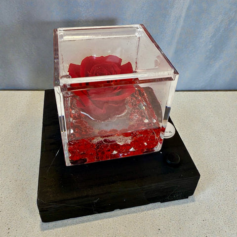 Rosa illuminata san Valentino 2026