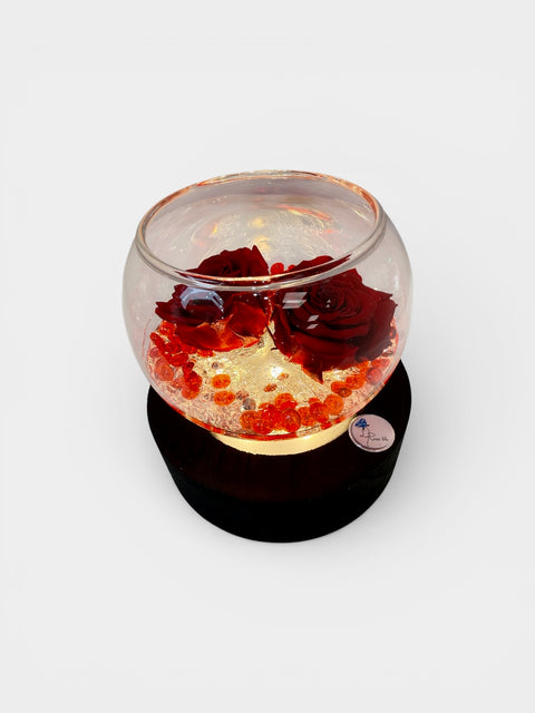 Rosa illuminata  2san Valentino 2026