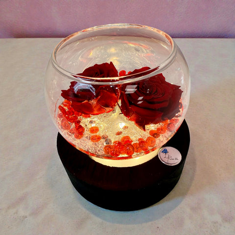 Rosa illuminata  2san Valentino 2026