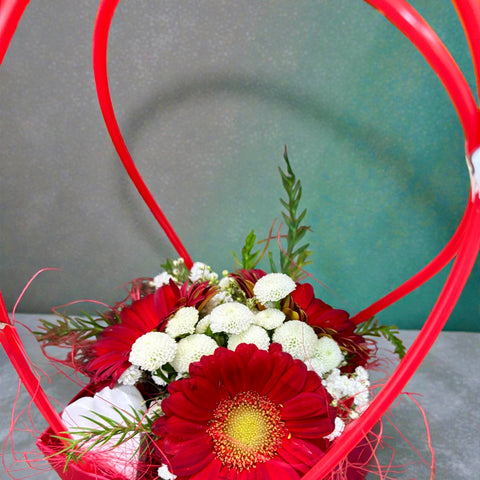 Fiori naturali gerbera