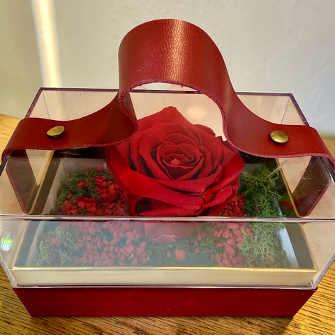 Borsetta rosa stabilizzata