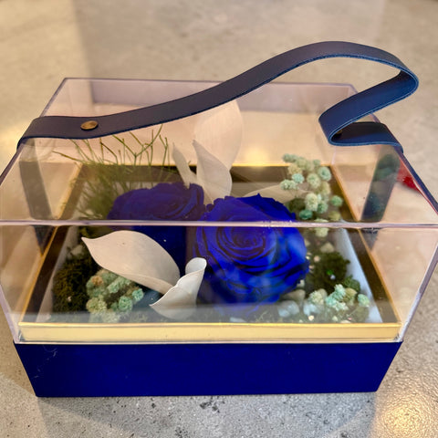 Borsetta rosa stabilizzate blu