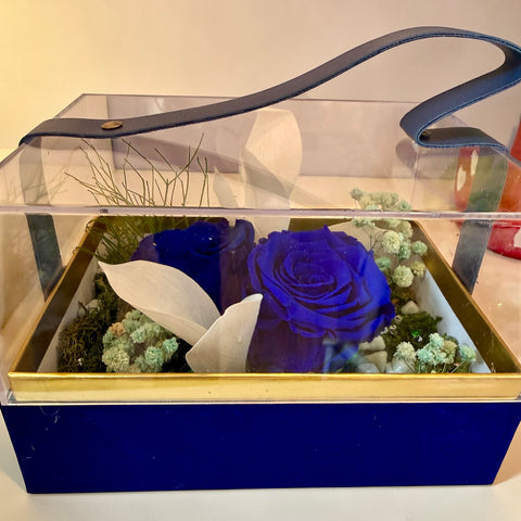 Borsetta rosa stabilizzate blu