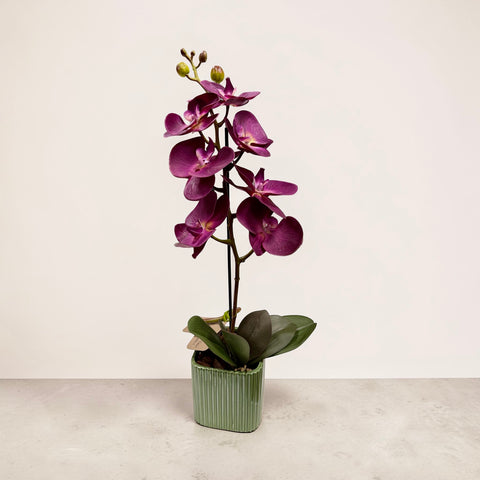 Orchidea artificiale fucsia
