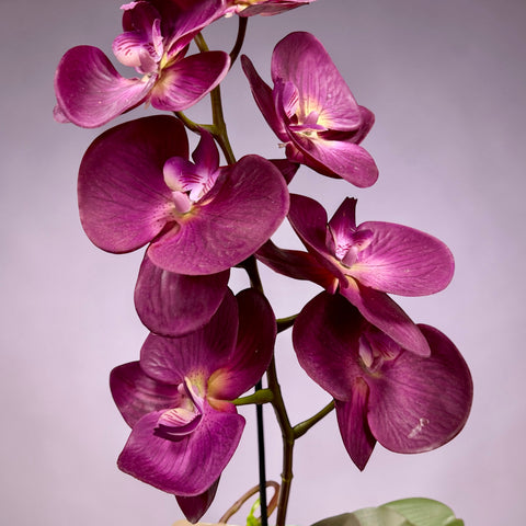 Orchidea artificiale fucsia