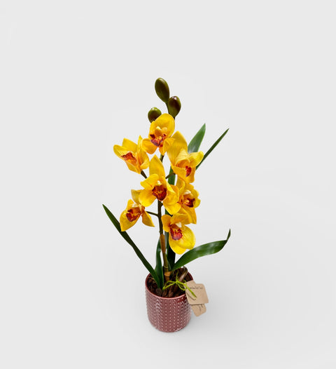 Orchidea artificiale gialla