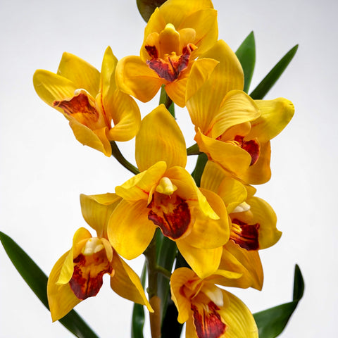 Orchidea artificiale gialla