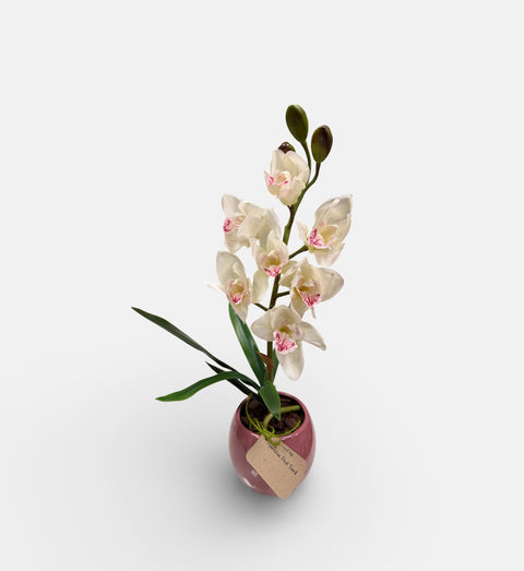 Orchidea artificiale bianca e rosa