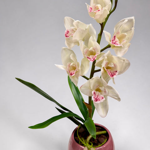 Orchidea artificiale bianca e rosa