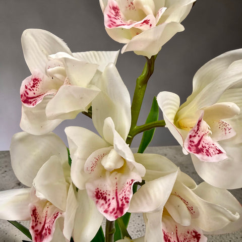 Orchidea artificiale bianca e rosa