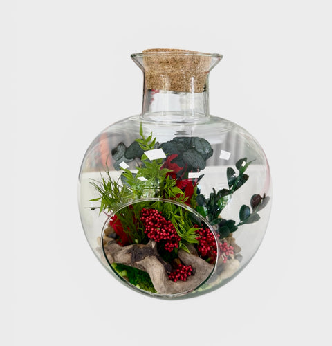 Terrarium con piante stabilizzate - acero tondo 2