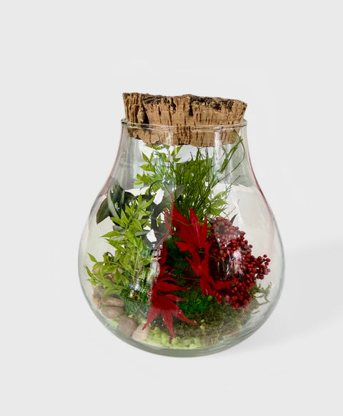 Terrarium artificiale con acero - tondo